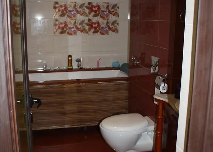 добруджанка Pensiune Ciflic